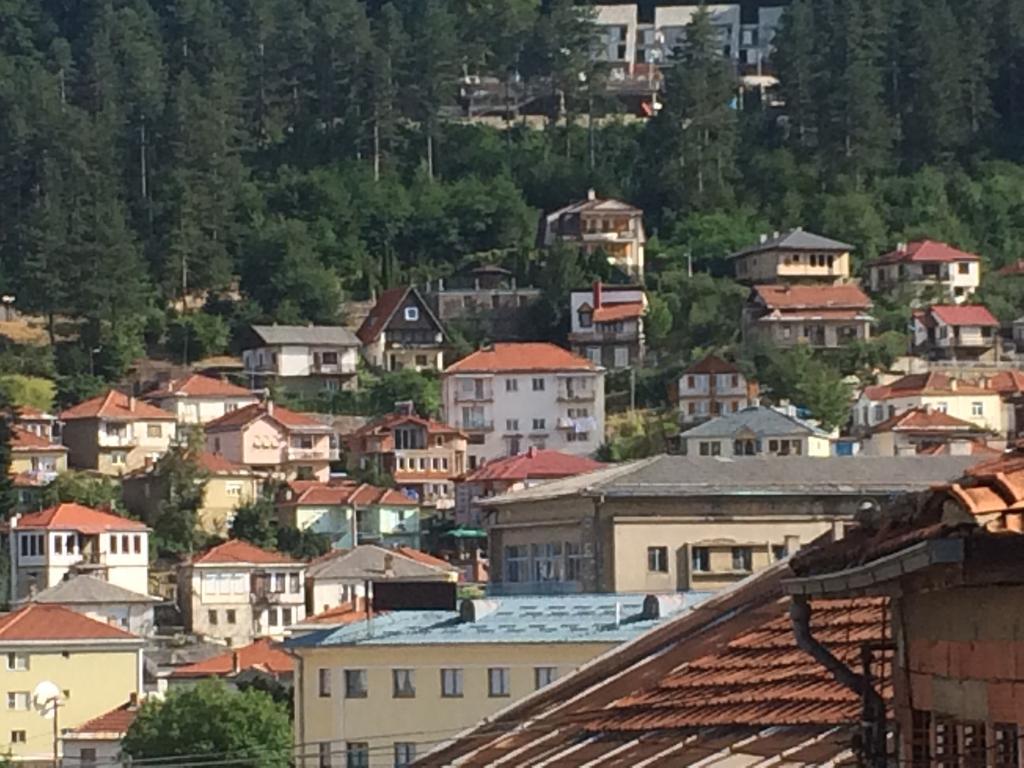 Къща за Гости Вила Флора Kruševo Екстериор снимка